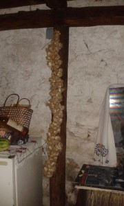 20161001 143440 (Medium)