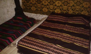 20161001 144735 (Medium)