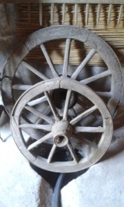20161001 145546 (Medium)