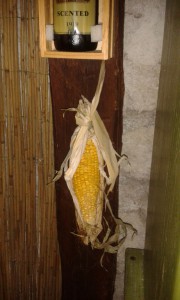 20161002 130058 (Medium)