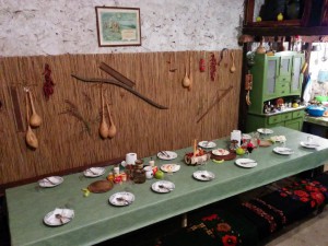 IMG 20161016 103558 (Medium)