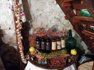 IMG 20161016 103713 (Medium)