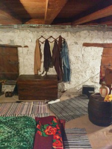 IMG 20161016 104031 (Medium)