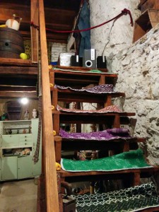 IMG 20161016 104116 (Medium)