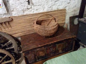 IMG 20161016 104156 (Medium)