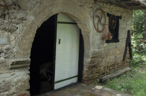 DSC 0151 (Medium)