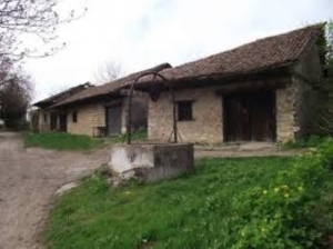 images (2) (Medium)