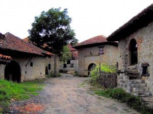 rajac (Medium)